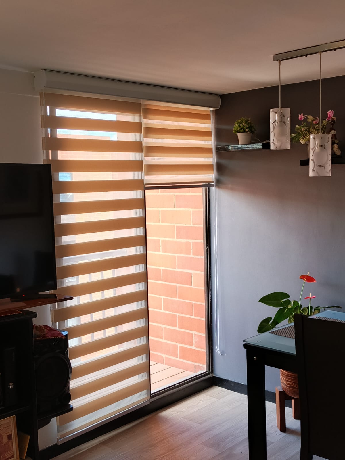 Proyecto Tradicionales 1